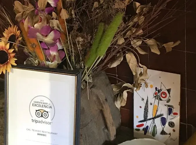 酒店 Cal Teixido 埃斯塔马留