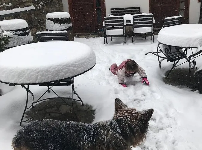 Cal Teixido 酒店 3*